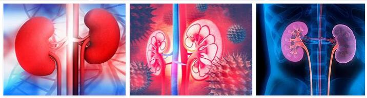 About Chronic Renal Failure
